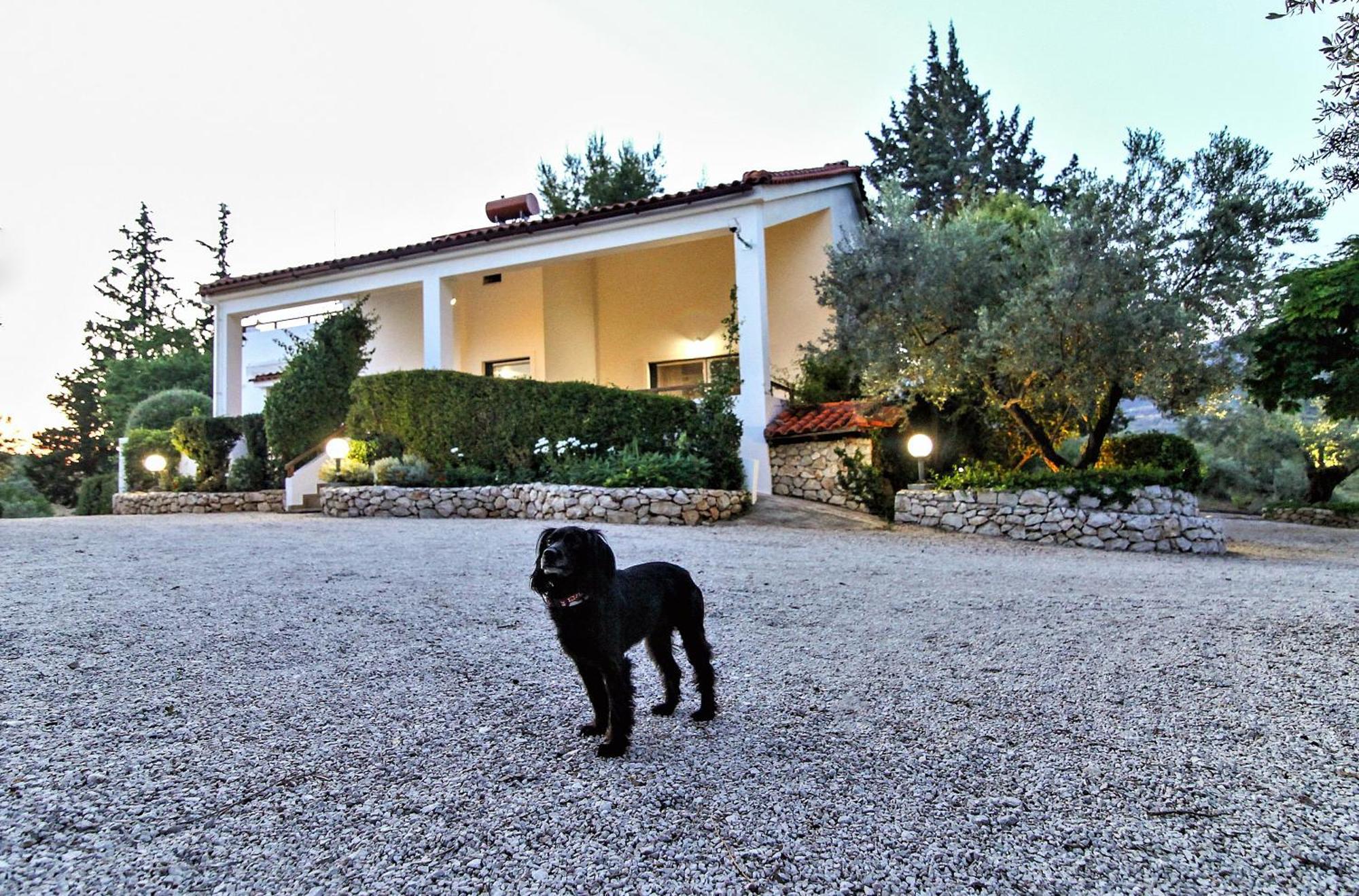 Villa Korina Metochi  Экстерьер фото
